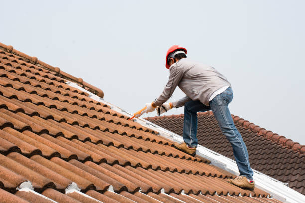 Best Roof Insulation Installation  in Rustburg, VA