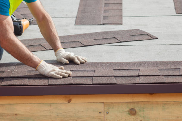 Best Roof Moss and Algae Removal  in Rustburg, VA