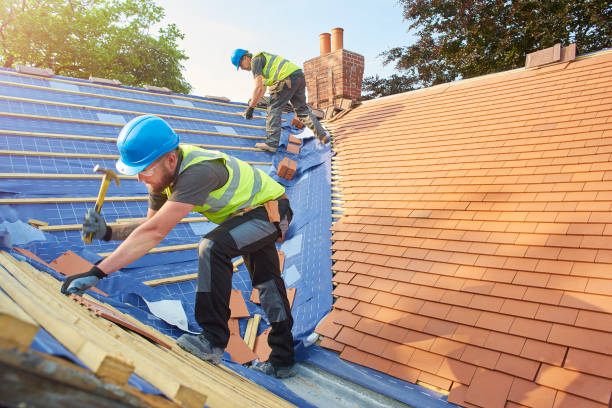Best Storm Damage Roof Repair  in Rustburg, VA